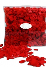 Rote Rosenblätter für die Hochzeit