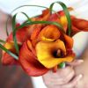 Floras Welten – Blumen Hochzeit